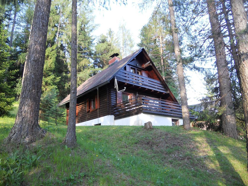 Holiday Home Gobela Kranjska Gora Cameră foto